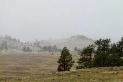 Undeveloped Land for sale in Park County, Colorado
