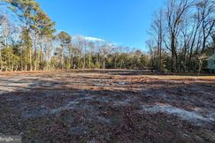 Undeveloped Land for sale in Sussex County, Delaware
