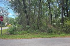 Undeveloped Land for sale in Citrus County, Florida