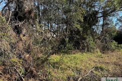 Undeveloped Land for sale in Chatham County, Georgia