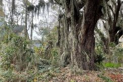 Undeveloped Land for sale in Chatham County, Georgia