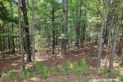 Undeveloped Land for sale in Garland County, Arkansas