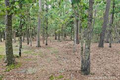 Undeveloped Land for sale in Garland County, Arkansas