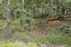 Undeveloped Land for sale in Garland County, Arkansas