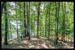 Lakefront Property for sale in Oconee County, South Carolina