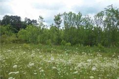 Property for sale in Morgan County, Alabama
