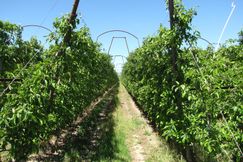 Ranch Property for sale in Benton County, Washington