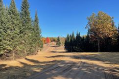 Undeveloped Land for sale in Kalkaska County, Michigan