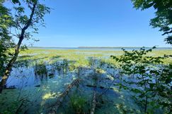 Undeveloped Land for sale in Beltrami County, Minnesota