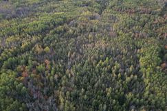 Undeveloped Land for sale in Koochiching County, Minnesota