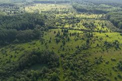 Undeveloped Land for sale in Koochiching County, Minnesota