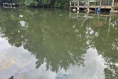 Lakefront Property for sale in Clarendon County, South Carolina