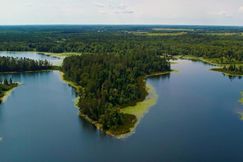 Undeveloped Land for sale in Beltrami County, Minnesota