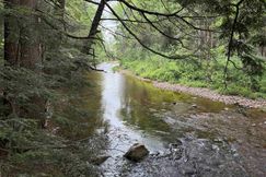 Lakefront Property for sale in Windham County, Vermont
