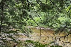 Lakefront Property for sale in Windham County, Vermont