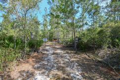 Undeveloped Land for sale in Volusia County, Florida