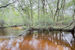 Undeveloped Land for sale in Lexington County, South Carolina