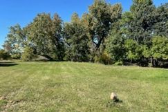 Undeveloped Land for sale in Butte County, South Dakota