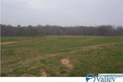 Undeveloped Land for sale in Marshall County, Alabama