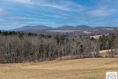 Undeveloped Land for sale in Floyd County, Virginia