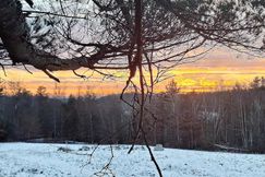 Property for sale in Windsor County, Vermont