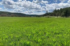 Undeveloped Land for sale in Stevens County, Washington