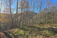 Undeveloped Land for sale in Towns County, Georgia