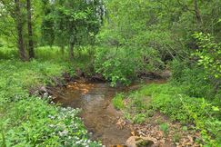 Undeveloped Land for sale in Towns County, Georgia