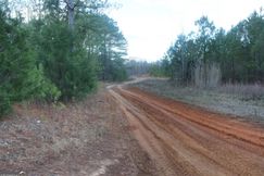 Undeveloped Land for sale in Troup County, Georgia