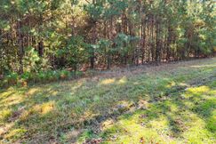 Undeveloped Land for sale in Harnett County, North Carolina