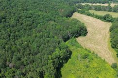 Undeveloped Land for sale in Etowah County, Alabama