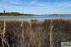Undeveloped Land for sale in Liberty County, Georgia