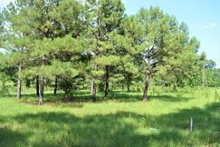 Undeveloped Land for sale in Pike County, Mississippi