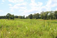 Undeveloped Land for sale in Pike County, Mississippi