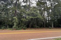 Undeveloped Land for sale in Pike County, Mississippi