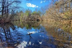 Undeveloped Land for sale in Fannin County, Georgia