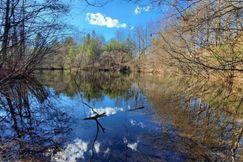 Undeveloped Land for sale in Fannin County, Georgia