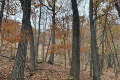Ranch Property for sale in Buffalo County, Wisconsin