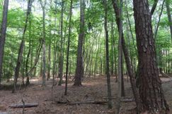 Undeveloped Land for sale in Fairfield County, South Carolina