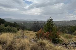 Undeveloped Land for sale in Otero County, New Mexico