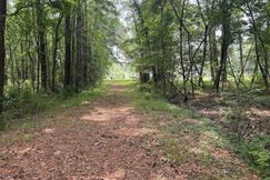 Undeveloped Land for sale in McIntosh County, Georgia