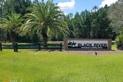Undeveloped Land for sale in Charlton County, Georgia