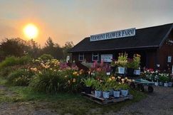 Undeveloped Land for sale in Washington County, Vermont