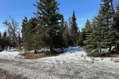 Undeveloped Land for sale in Kenai Peninsula Borough, Alaska