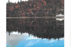 Undeveloped Land for sale in Lake and Peninsula Borough, Alaska