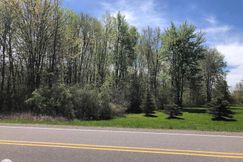 Undeveloped Land for sale in Saint Clair County, Michigan