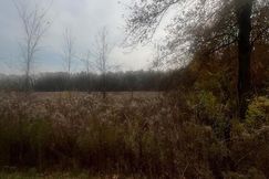 Undeveloped Land for sale in Saint Clair County, Michigan