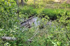 Undeveloped Land for sale in Flathead County, Montana