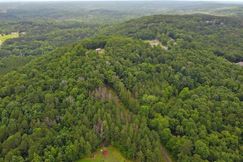 Undeveloped Land for sale in Paulding County, Georgia