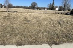Undeveloped Land for sale in Steele County, Minnesota